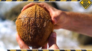 How To Open Coconuts Without Any Tools TKORs Easy Way Of Cracking Coconuts [upl. by Dragelin]