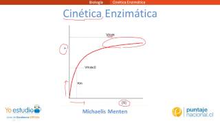 Cinética Enzimática [upl. by Soirtemed810]