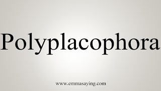 How To Say Polyplacophora [upl. by Mcconnell]