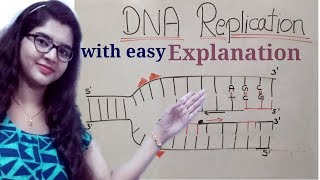 DNA replication in hindi Helicase  leading strand  Lagging strand  Okazaki fragments [upl. by Wilow]