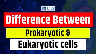 Difference Between Prokaryotic and Eukaryotic Cells🦠🧫  IIT JAM Biotechnology [upl. by Yniffit497]