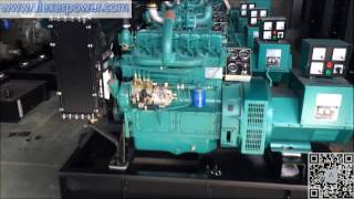 Weichai 30KW Diesel Generator Set K4100ZD Engine with stanford brushless alternator [upl. by Scharaga]