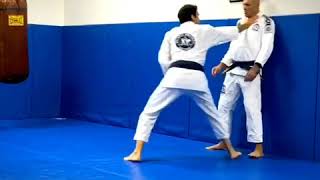 RG 360 Gracie JiuJitsu Self Defense Demo [upl. by Atekin]