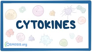 Cytokines [upl. by Lotte962]