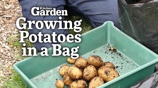 Growing Potatoes in a Bag  Kitchen Garden Magazine [upl. by Hollington268]