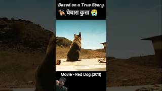 dog amazingfacts story doglover animals movie trending gadgets bhoot cartoon [upl. by Mckay945]