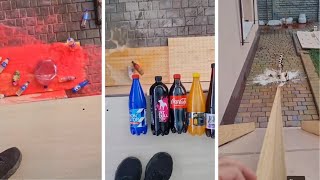 1 Minutes Of Bottle Rolling Down Stairs ASMR  Breaking Glass Bottles  ASMR Compilation 5 [upl. by Drice151]