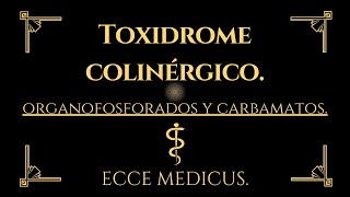 Toxicología clínica 2  Síndrome colinérgico organofosforados y carbamatos [upl. by Ahseekat946]