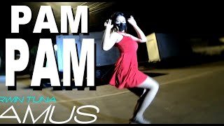 BUDOTS DANCE PAM PAM REMIX [upl. by Bledsoe]