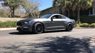 One Year With My 2016 V6 Mustang [upl. by Llehsram]