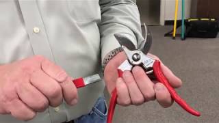 How To Sharpen Pruning Tools [upl. by Annah275]