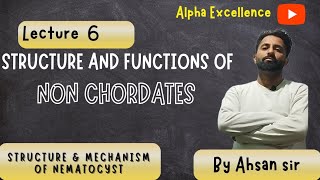 Structure amp Mechanism of working of Nematocyst  BSc Zoology major Minor [upl. by Einhpad]