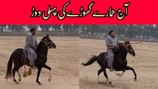 FIRST RIDEON On NEW HORSE in mianwali groun  Horse First Ride firstride video viral youtube [upl. by Eiramac499]