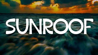 Nicky Youre  Sunroof Mix Playlist Lyrics  Top Hits 2024 [upl. by Einamrej]