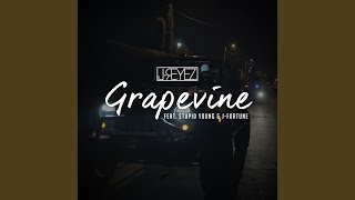 Grapevine feat Stupid Young amp JFortune [upl. by Esylle]