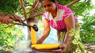 Sri Lanka Village Food  JACKFRUIT CURRY in Sigirya Eating SRI LANKAN Food in a Tree House [upl. by Aisauqal130]