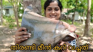 തിരണ്ടി മീൻ കറി വച്ചത് 10kg fish fishcutting viral bigfish recipe thirandi [upl. by Nipha]