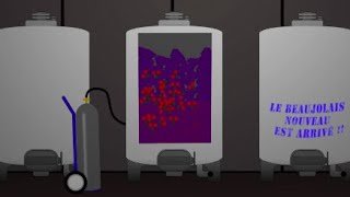 Carbonic Maceration A Brief Overview [upl. by Ruth]