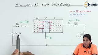 Operation of NPN Transistor  Bipolar Junction Transistor  Basic Electronics [upl. by Miguela]