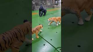 호랑이 vs 스밀로돈 Tiger vs Smilodon [upl. by Cutcheon]