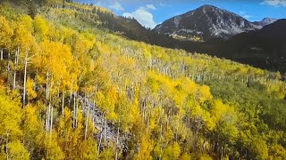 Fall from Above Colorado Aspens in 2024 [upl. by Sadoc]