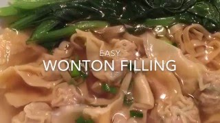 Easy Wonton Filling [upl. by Cir]