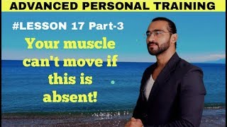 Your muscle cant move if this is absent [upl. by Shanan]