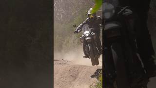 Trilha com a Himalayan 450 moto motociclismo royalenfield himalayan450 offroad trilha [upl. by Einoj]