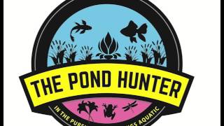 The Pond Hunter Radio Podcast Ep17 quotHow To Prepare Your Koi Pond Water Garden For Winterquot [upl. by Lipkin]