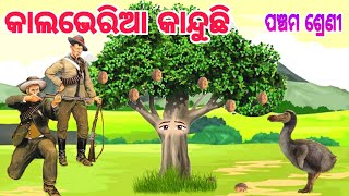 Calvaria kanduchhi  class 5  sahitya kusuma  କାଲଭେରିଆ କାନ୍ଦୁଛି  ପଞ୍ଚମ ଶ୍ରେଣୀ ସାହିତ୍ୟ କୁସୁମ [upl. by Jeno]