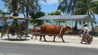 CNMI celebrates 78th Liberation Day [upl. by Sherurd199]