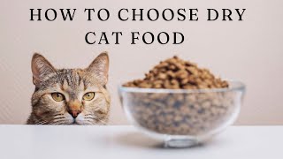 The Ultimate Guide to How to Choose Dry Cat Food 🐱 [upl. by Aysahc]