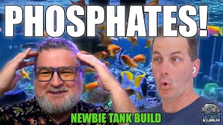 Managing PHOSPHATE Levels in Your Saltwater Aquarium  Newbie Tank Build [upl. by Nyrrek]