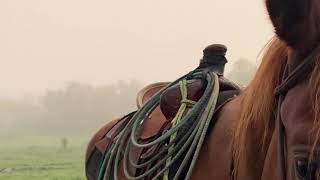 Roping Bulls in Grassy Cove [upl. by Brion]