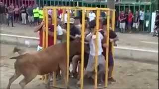 MOST FATAL BULL ATTACKS  MUST SEE [upl. by Eilla580]