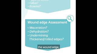 The Coloplast Triangle of Wound Assessment [upl. by Zaria]