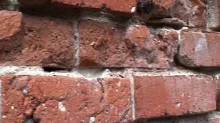 Lime Mortar Repointing The Basic Techniques for Restoring Historic Brick Homes [upl. by Helbonnas]