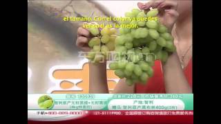 Video venta por TV ¡Llame Ya CFSM en China [upl. by Adai]