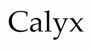 How to Pronounce Calyx [upl. by Abixah641]