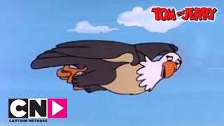 Egg and Tom amp Jerry  Tom amp Jerry  Cartoon Network [upl. by Nereus437]