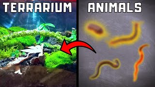 I moved THESE animals into my ecosystem terrarium [upl. by Jenine]