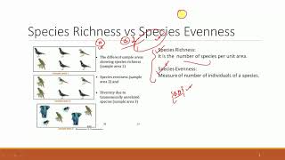 Species Richness and Evenness [upl. by Senn]