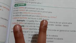 Adjectif qualificatif  Épithète et Attribut  Astuce révision Français 5AP  programme Algérien [upl. by Anirb]