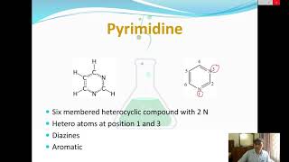 Heterocyclic Compounds  Pyrimidine Purine amp Azepines [upl. by Kemppe]