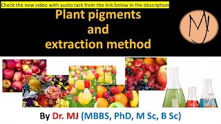 Plant pigments chlorophylls carotenoids flavonoids betalains phytochromes DoctorTutors [upl. by Aicilaanna163]