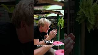 6Gordons great escapegordonramsay malaysia shorts cooking food shortvideo trending video [upl. by Alyl]