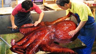 Incredible Giant Octopus Fishing  How Japan Chef Cutting Giant Octopus And Octopus Processing [upl. by Ahsot]