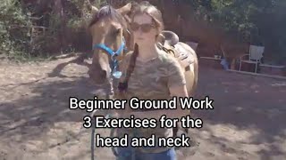 Three Beginner friendly Groundwork exercises for the Horses Head and Neck [upl. by Curnin]