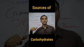 The sources of carbohydratesshortsyoutube viral education biochemistry sciencefacts [upl. by Roderick]