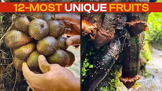 12 Most unique Fruits name in the World 4K [upl. by Fenella]